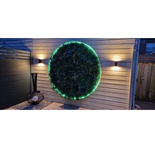 Neon Flex LED strip 12 volt RGB 14,4W 850LM 8 x 16mm IP67 – 5 meter