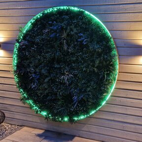 Neon Flex LED strip 12 volt RGB 14,4W 850LM 8 x 16mm IP67 – 5 meter