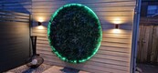 Neon Flex LED strip 24 volt RGBWW 2700K 18W 1050LM 16 x 16mm IP65