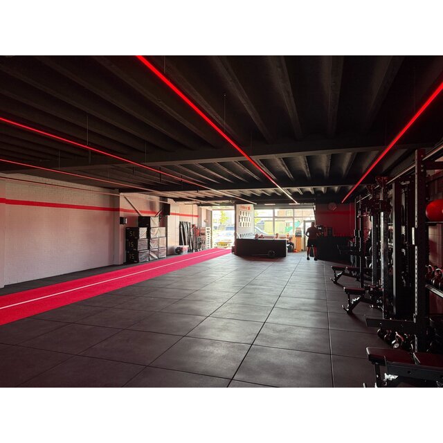 Pro RGBWW - 2700K LED strip 10mm 19.2W 1250LM 60LED p/m 24VDC IP20 - 5 meter