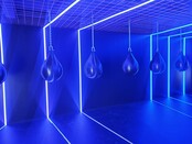 PRO LUMEN RGBCCT LED strip 19W 1250LM 96LED p/m 48VDC IP20 12mm - 20 meter