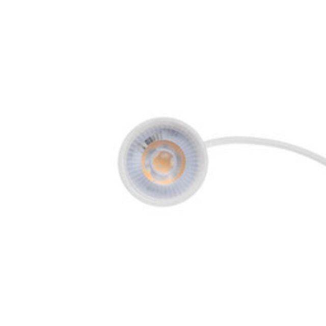 LED-Spot WIT 50mm - WIT - 5W - 38° - 2000/2700K  Dim to Warm
