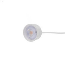 LED Spot dimbaar WIT- 50mm 5W 38° 2700K