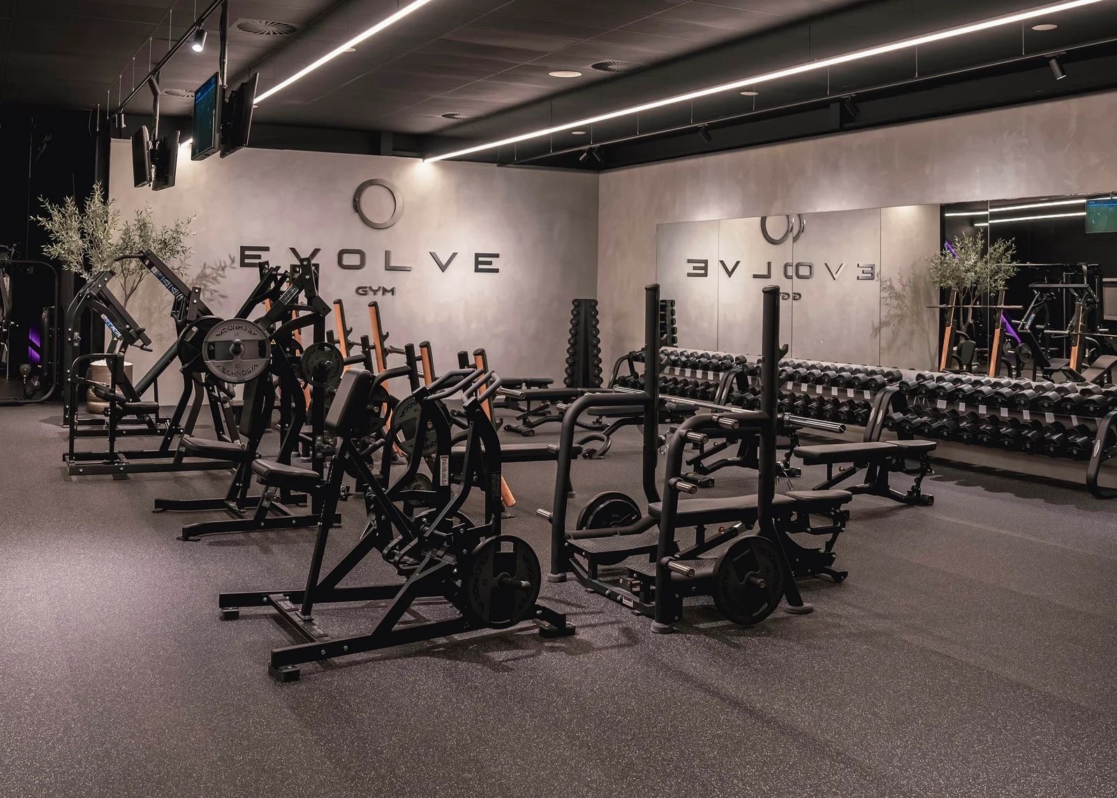 Overzicht van de hoofdruimte van Evolve Gym Almere met lineaire ledverlichting