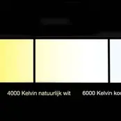 LED Strip 24 Volt 6000k Koud Wit 6W 630lm/meter 60 Led/m  IP65 10M Rol