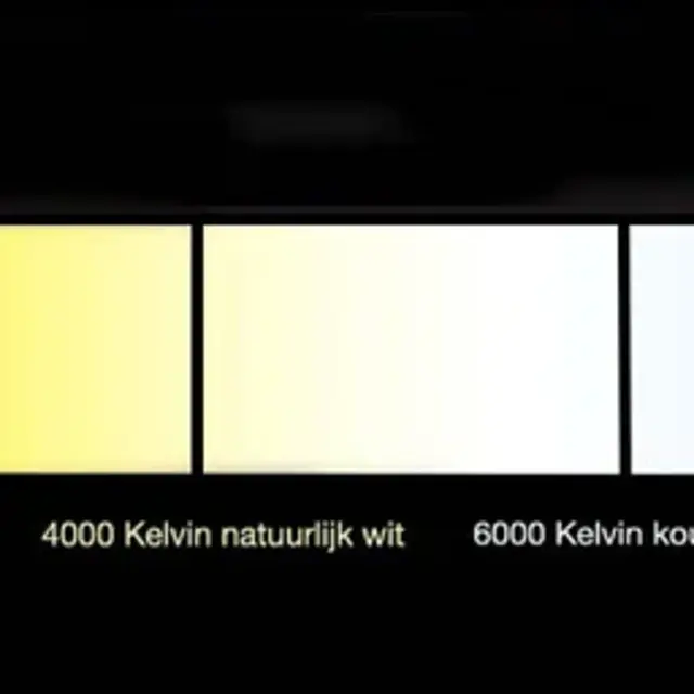 LED Strip 24 Volt 6000k Koud Wit 6W 630lm/meter 60 Led/m  IP65 10M Rol