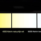 LED Strip 24 Volt 4000k Natuurlijk Wit 9,6W 1020lm/meter 120 Led/m IP20 50M Rol