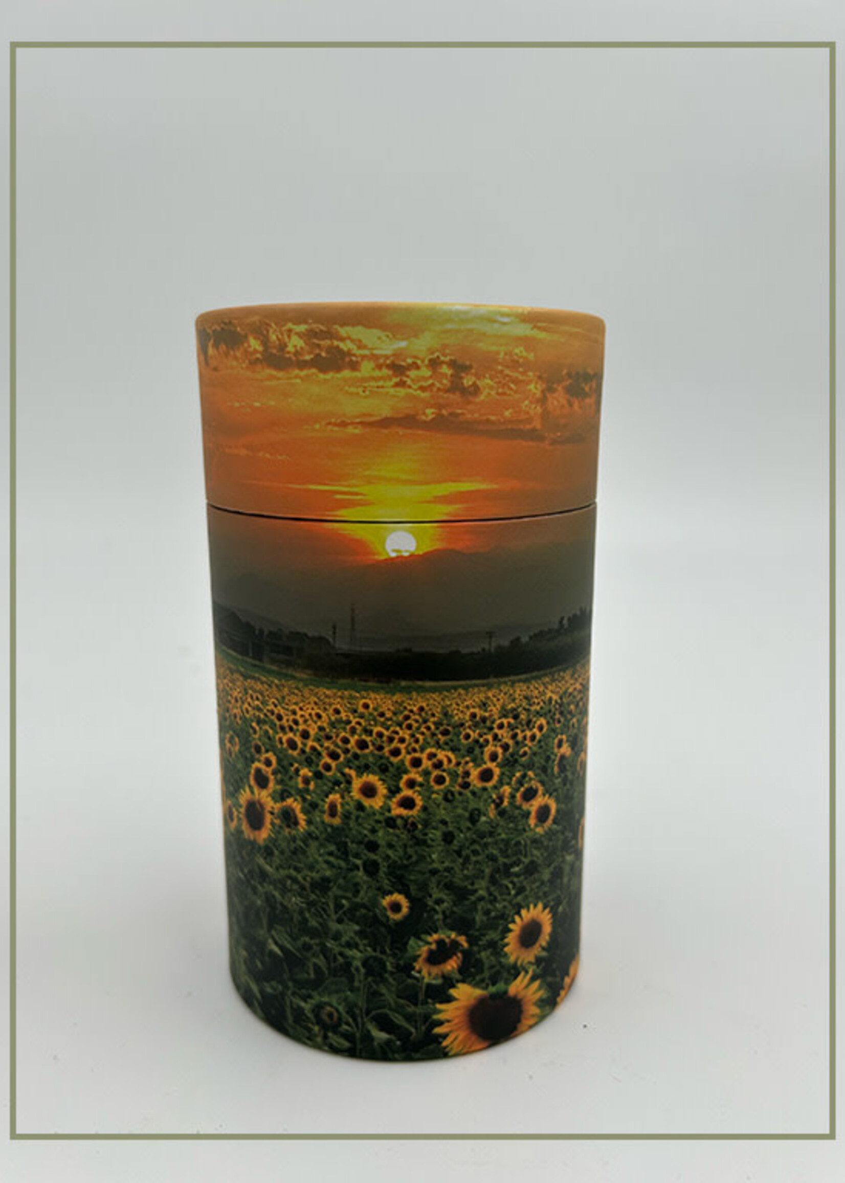 diffuseur de cendres - champ de tournesols - S