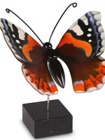 papillon orange marron - VL196005