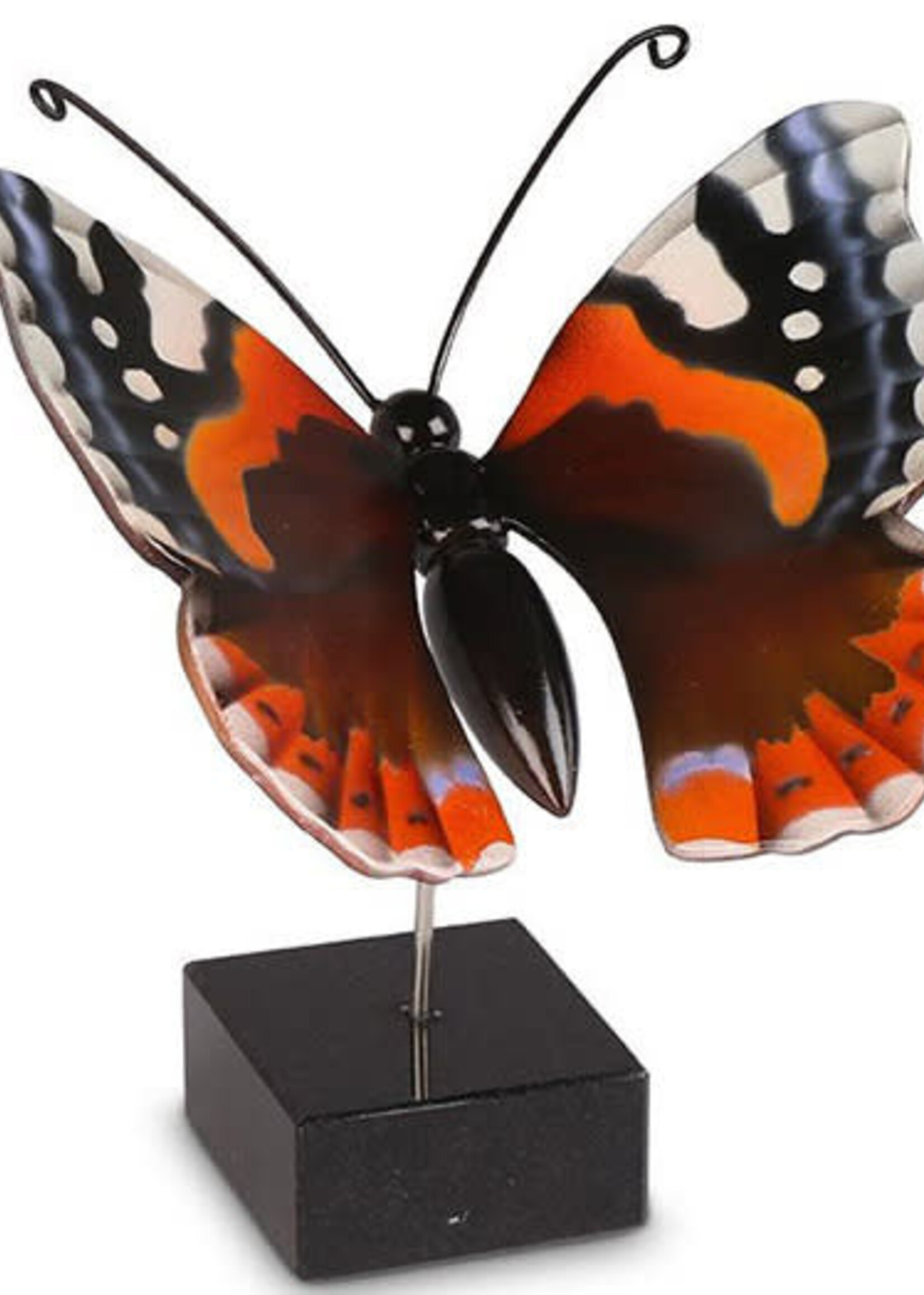 papillon orange marron - VL196005