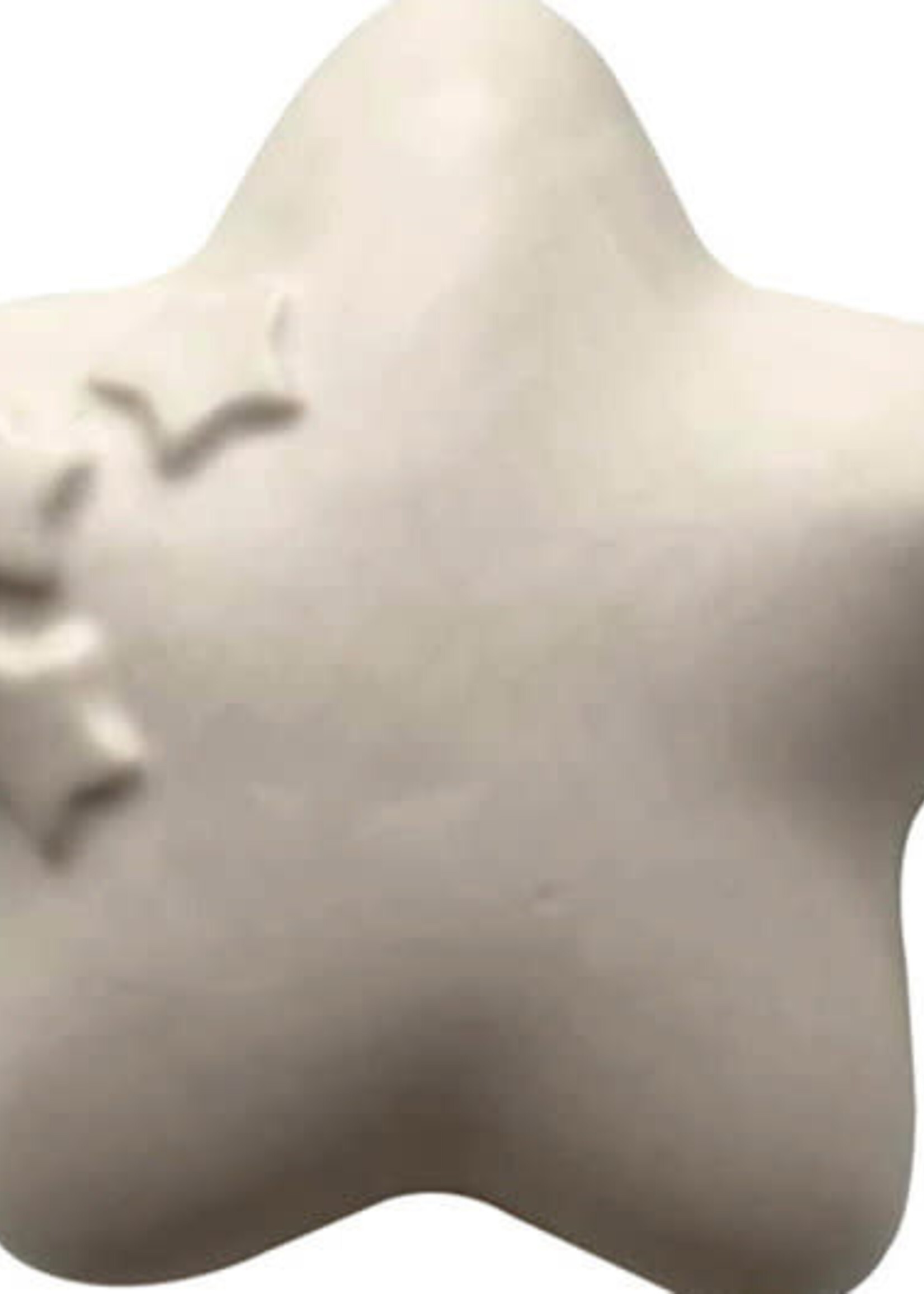 Knuffelsteen Ster Wit