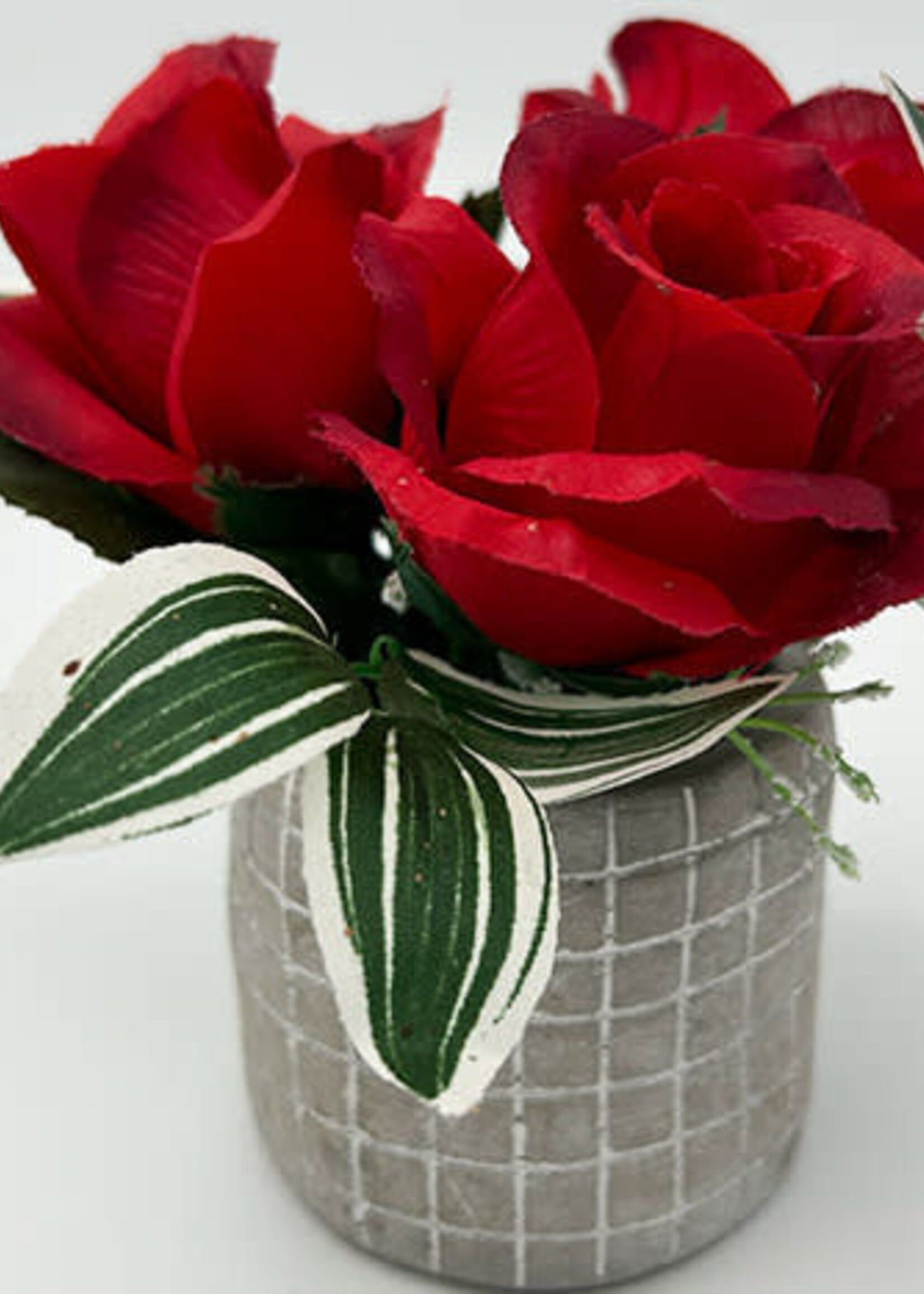 26-Pres-Stone 3 - rode rozen