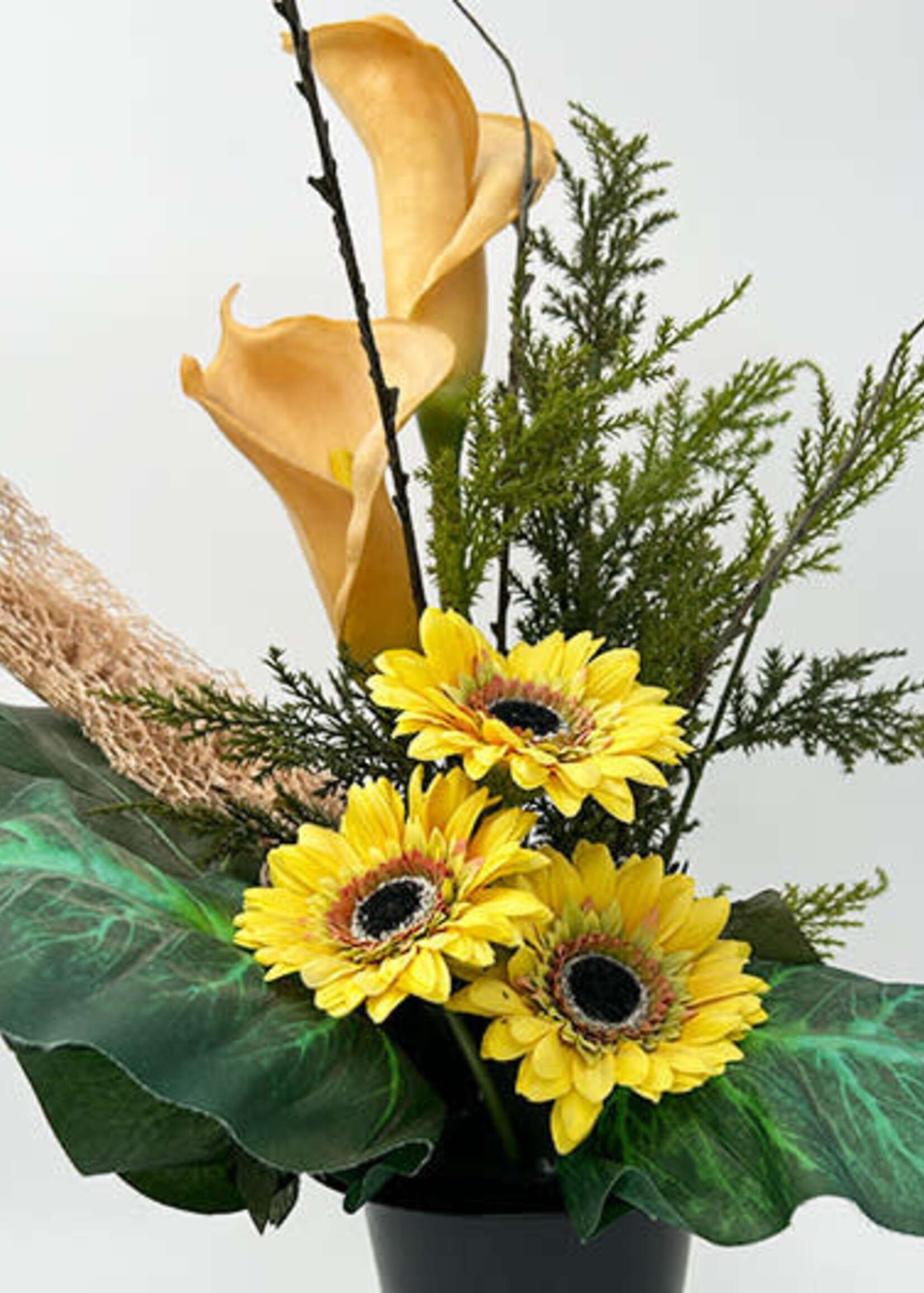 26-Pres-Vaas - zonnebloemen