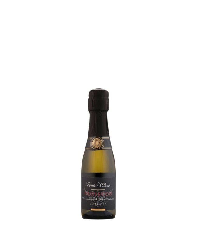Ponte Villoni Ponte Villoni Prosecco Extra Dry 20cl Piccolo