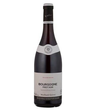Moillard Grivot Bourgogne Pinot Noir