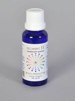 Vita Segment 11 lymfatisch systeem Vita 30ml