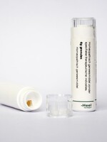 Homeoden Heel Eupatorium perfoliatum MK Homeoden Heel 6g