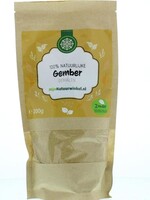Mijnnatuurwinkel Gember gemalen Mijnnatuurwinkel 200g