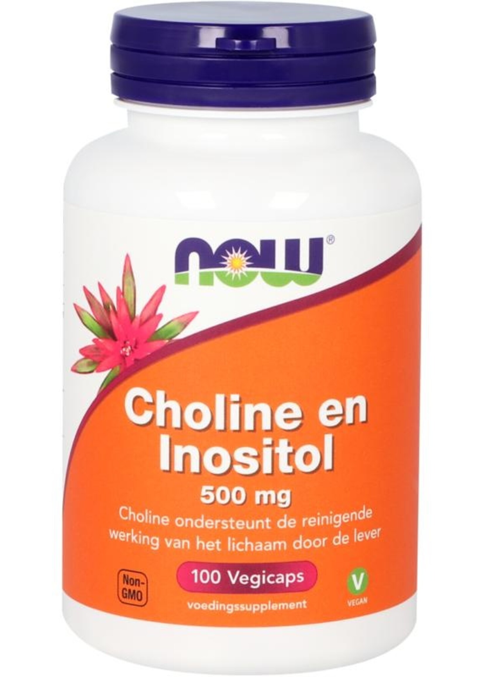 NOW Choline en inositol 500 mg NOW 100vc