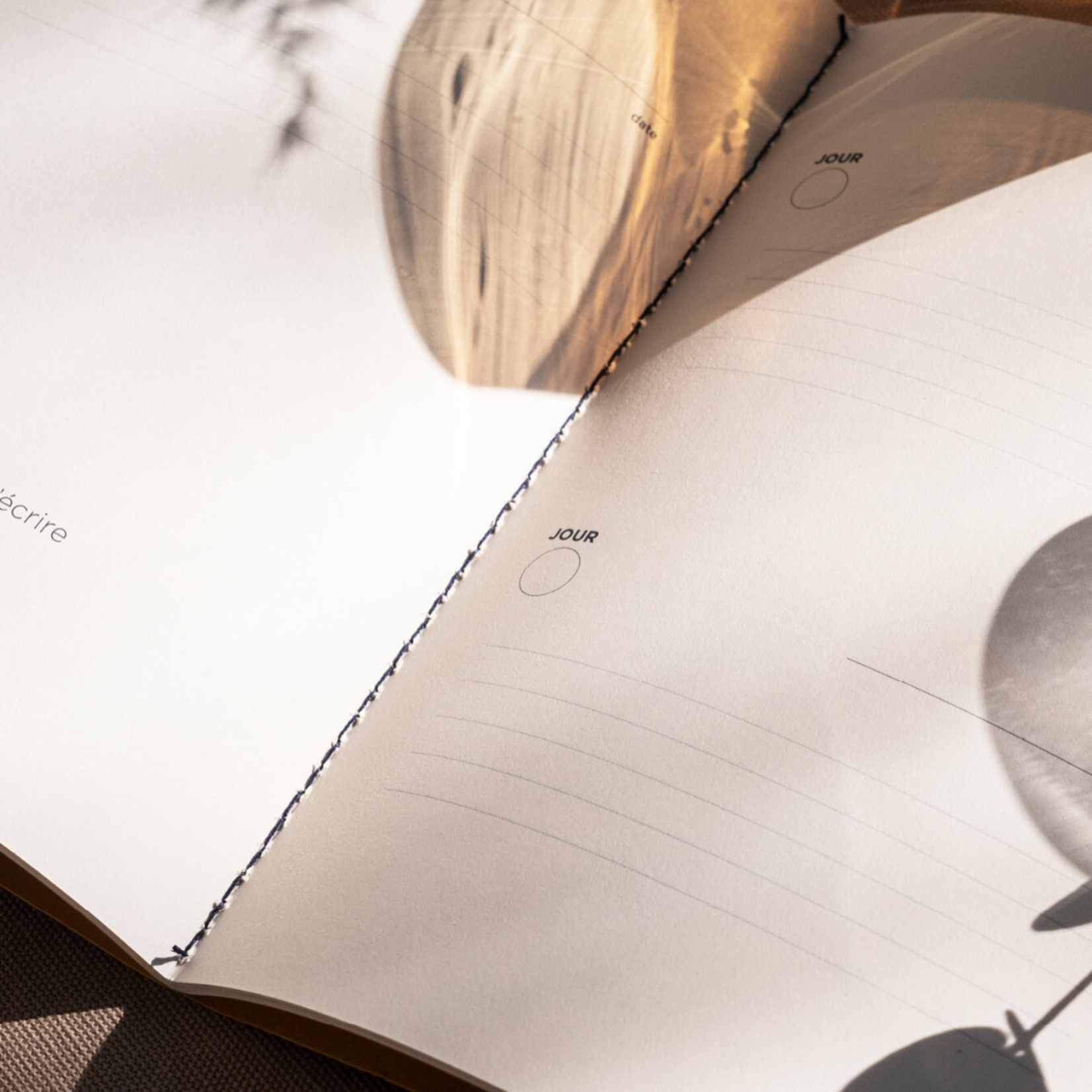 Carnet "Un jour, une phrase"