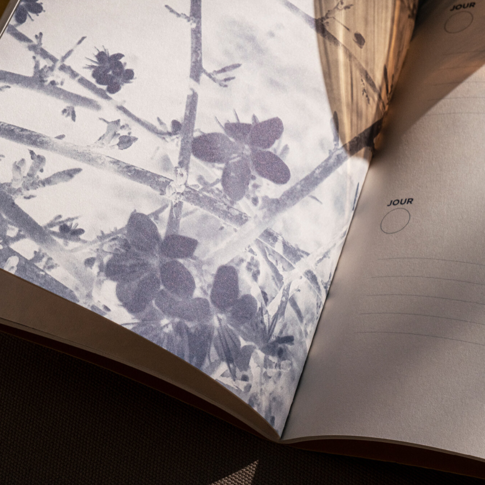 Carnet "Un jour, une phrase"