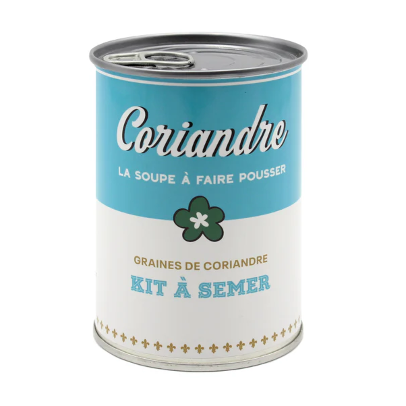 Graines de coriandre - La soupe à faire pousser