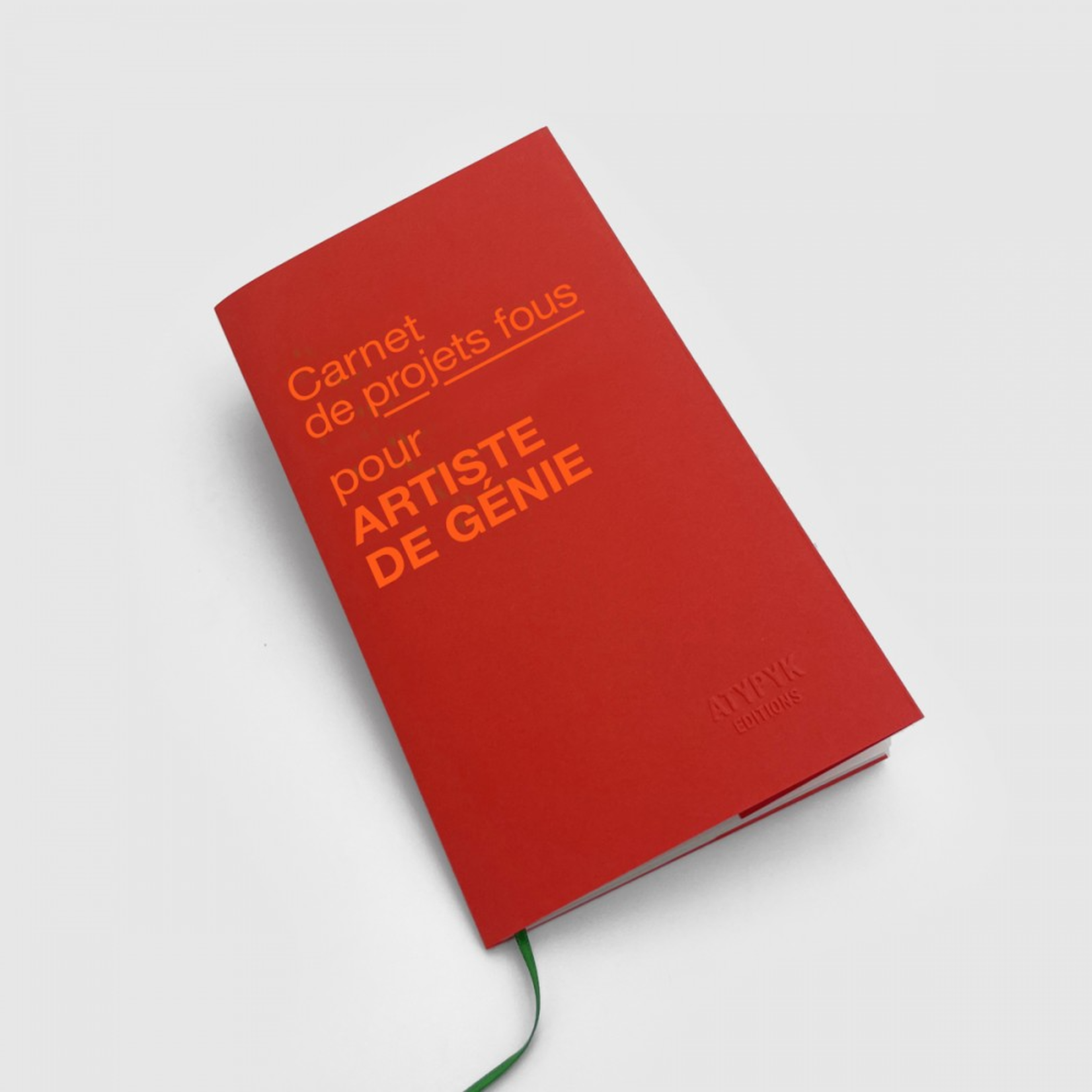 Carnet de projets fous pour ARTISTES DE GÉNIE