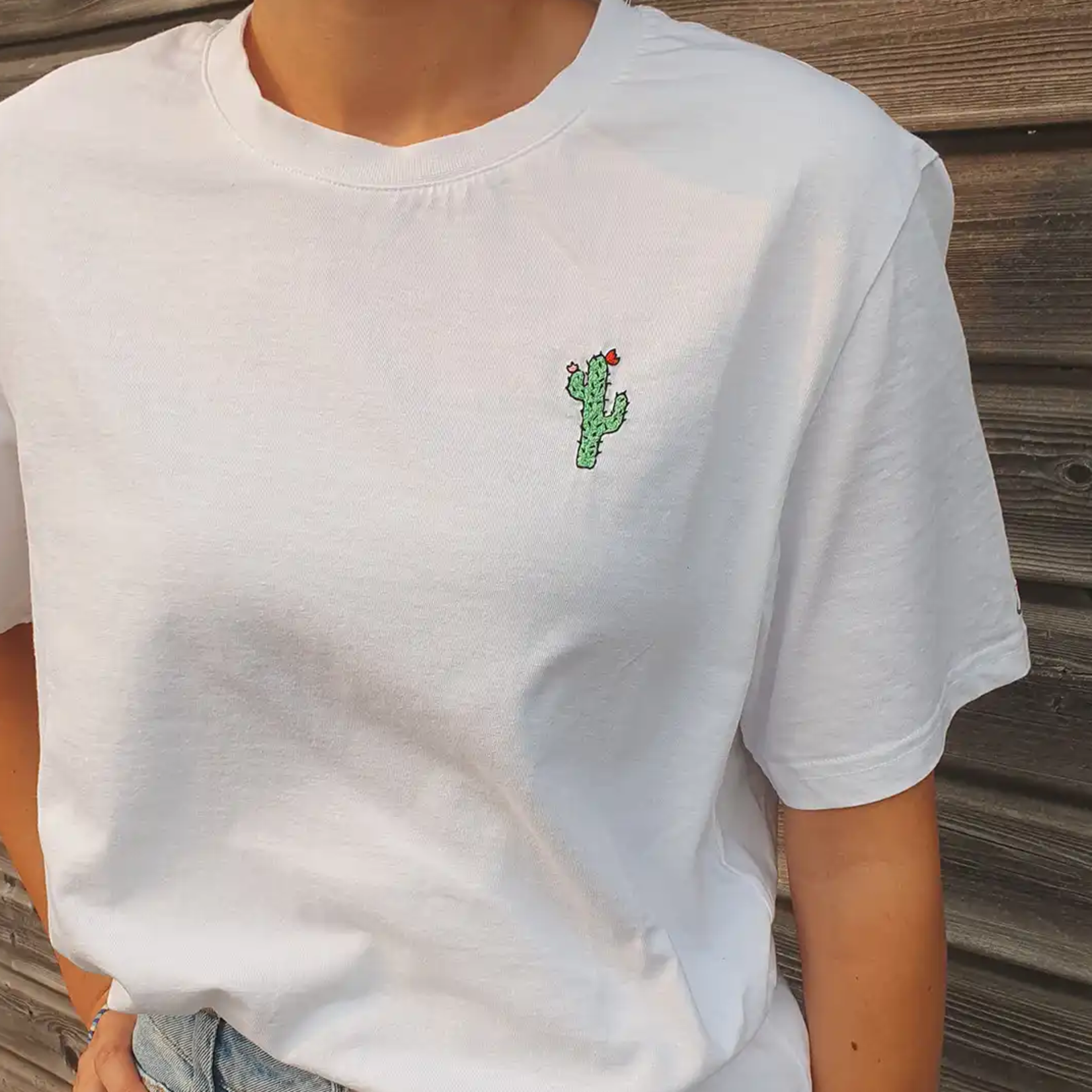 Kit Broderie - Cactus