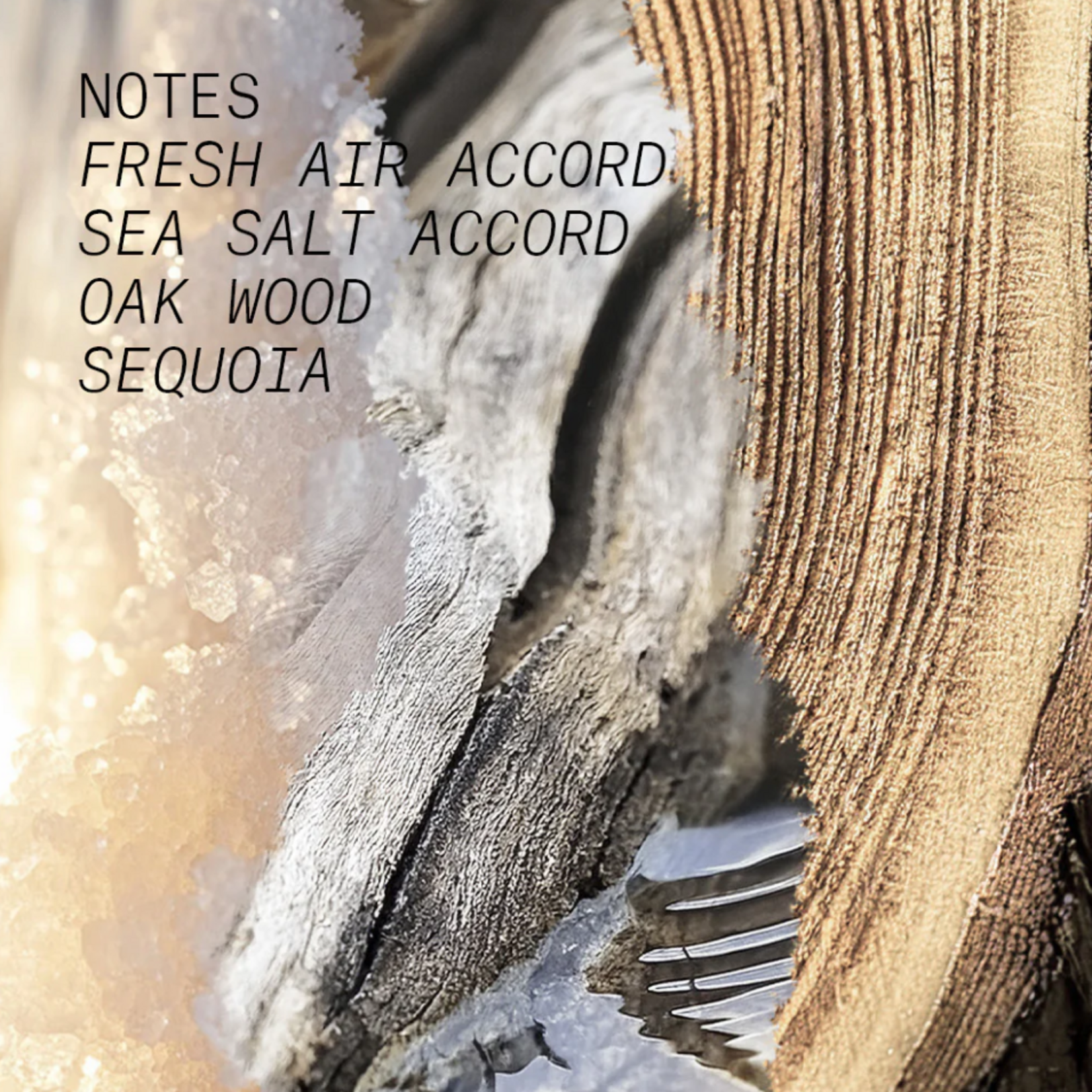 Eau de Parfum - Salty Wood - 50 ml