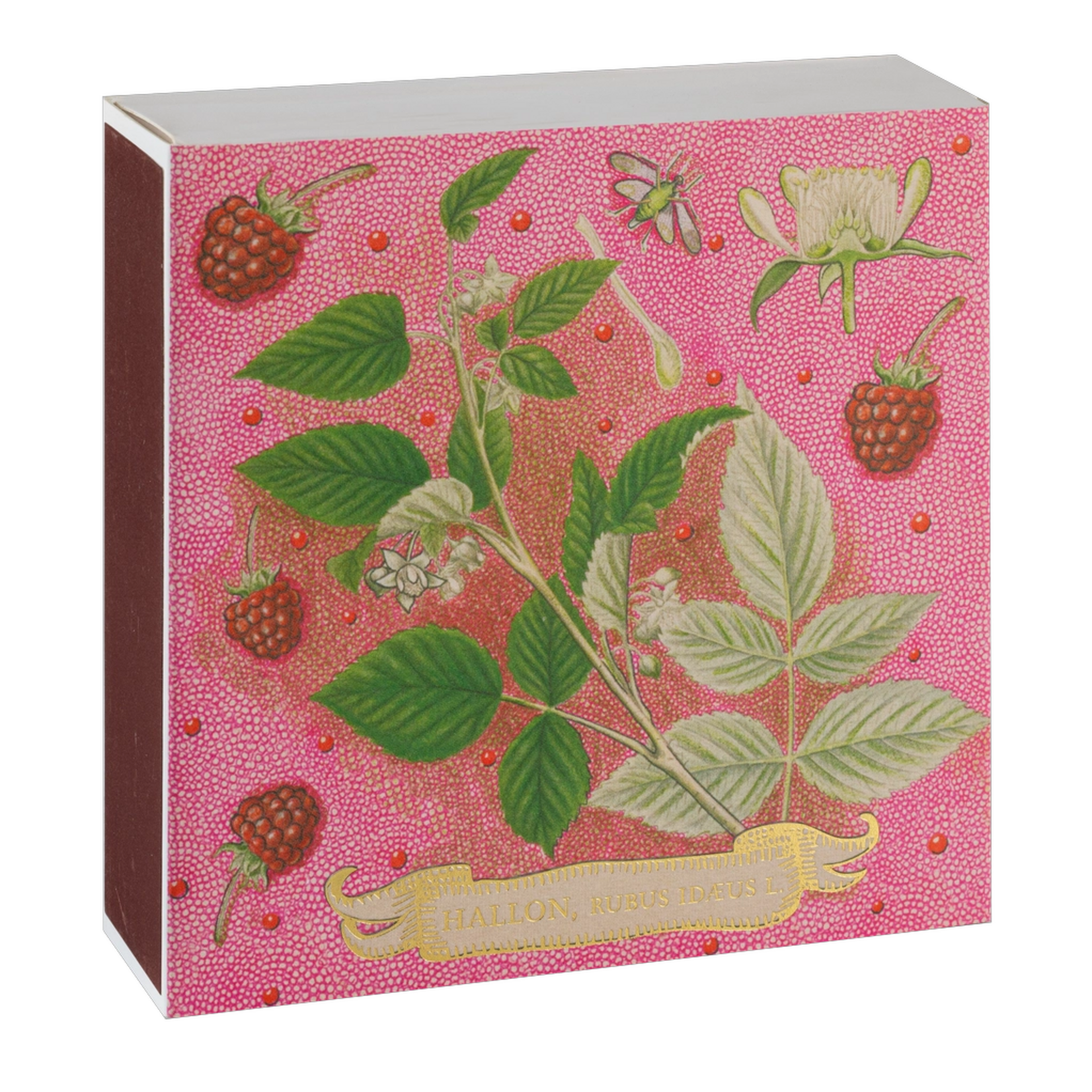 Allumettes Carré - Rose Framboise