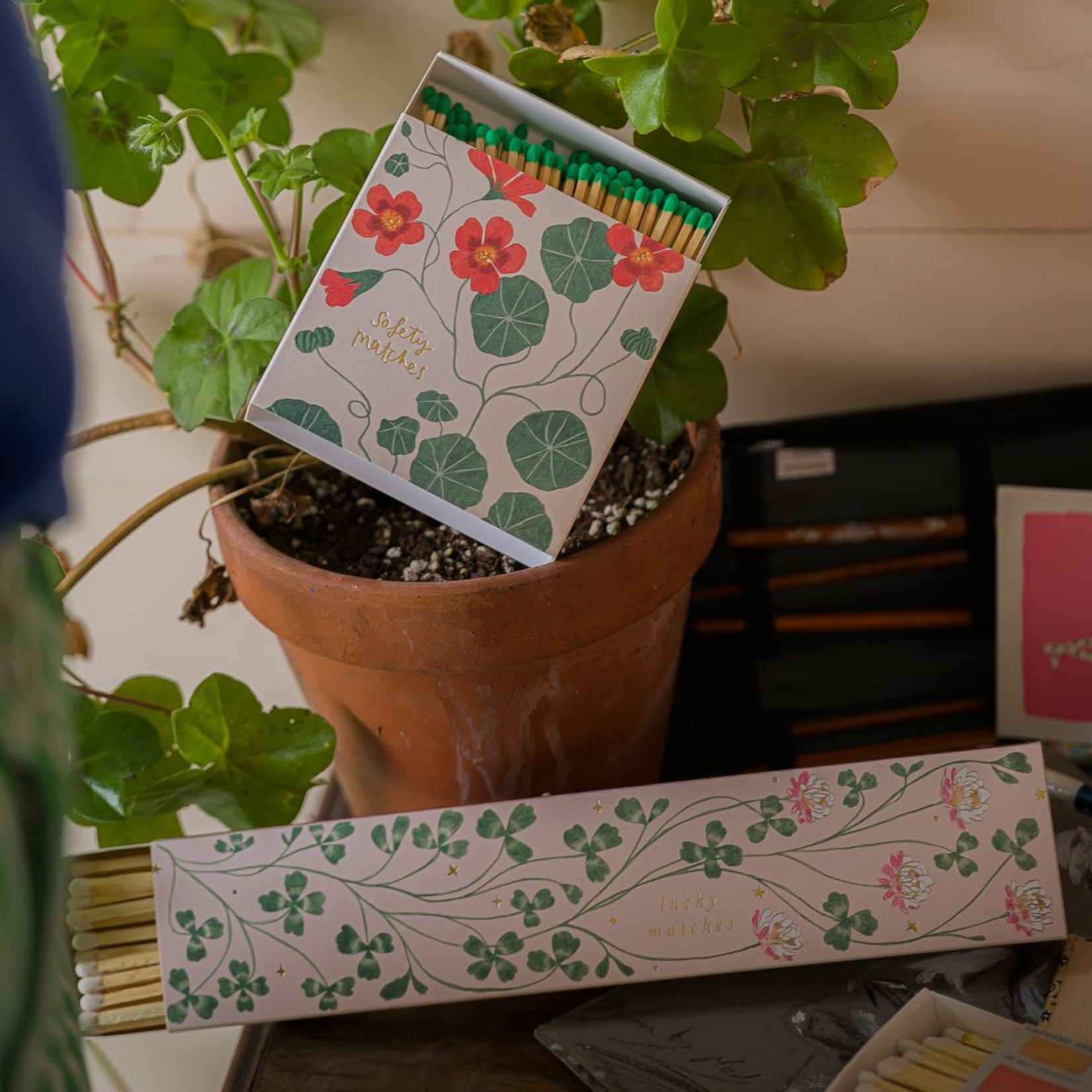 Allumettes Long - Lucky Clover