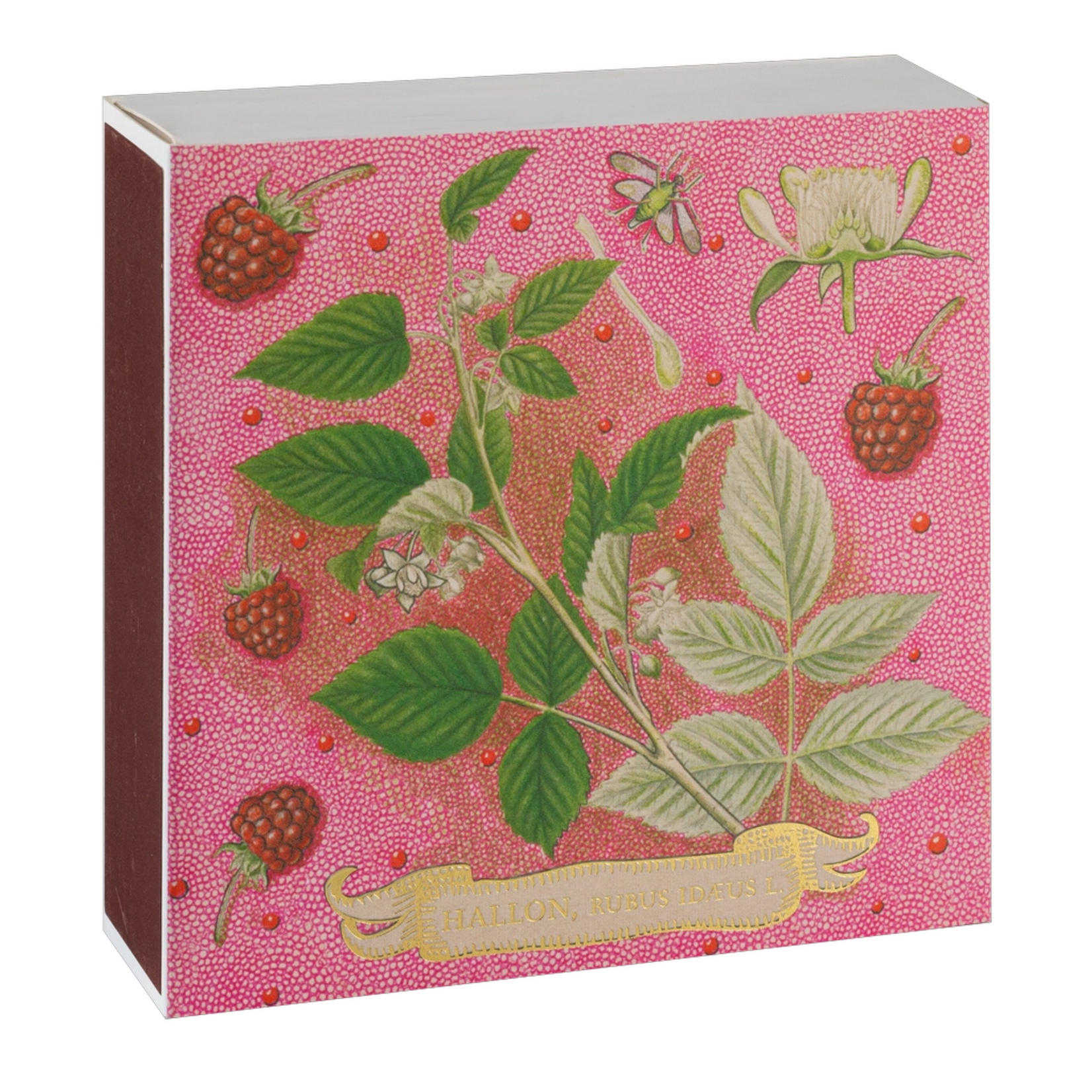 Allumettes Carré - Rose Framboise