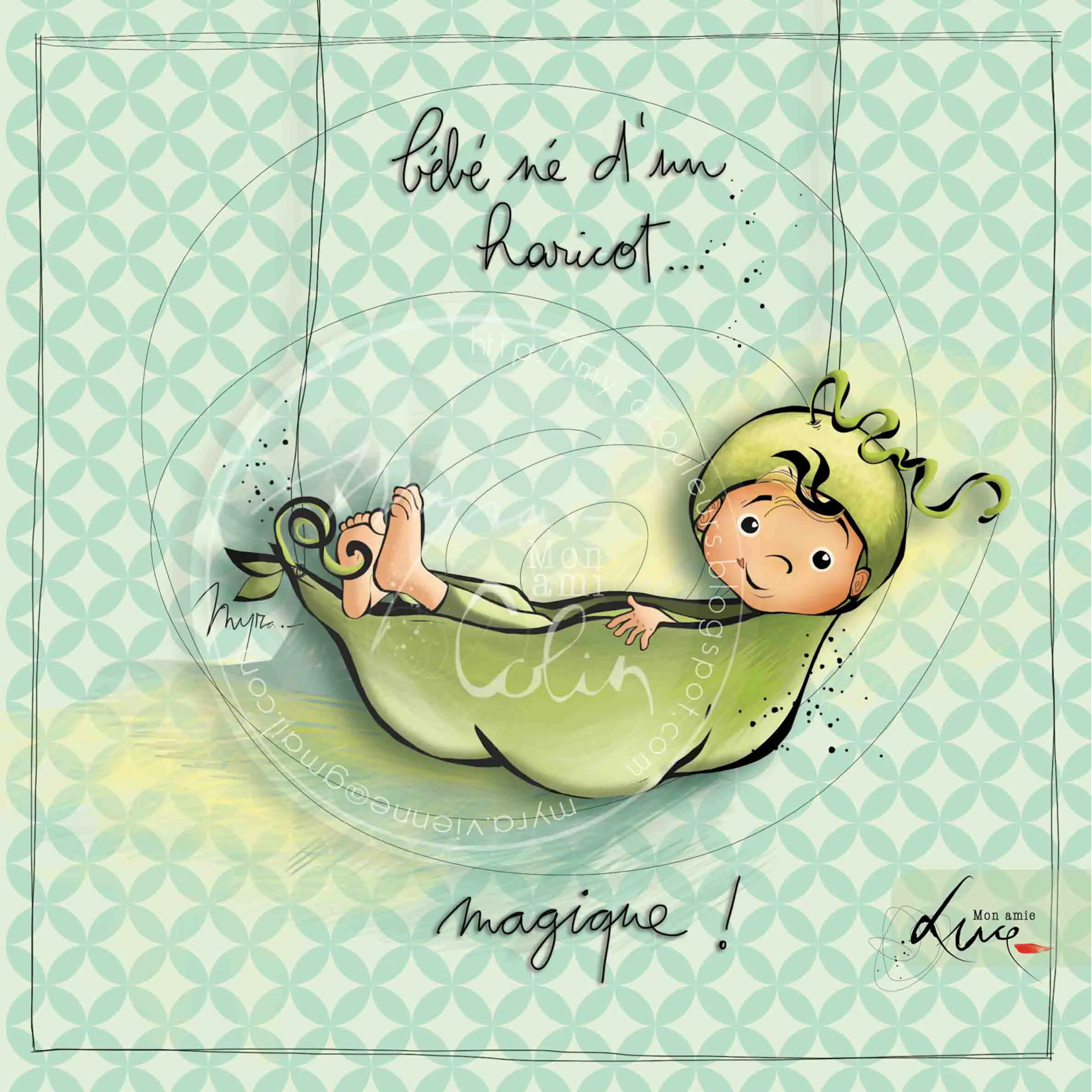 Carte postale "Né d'un haricot"