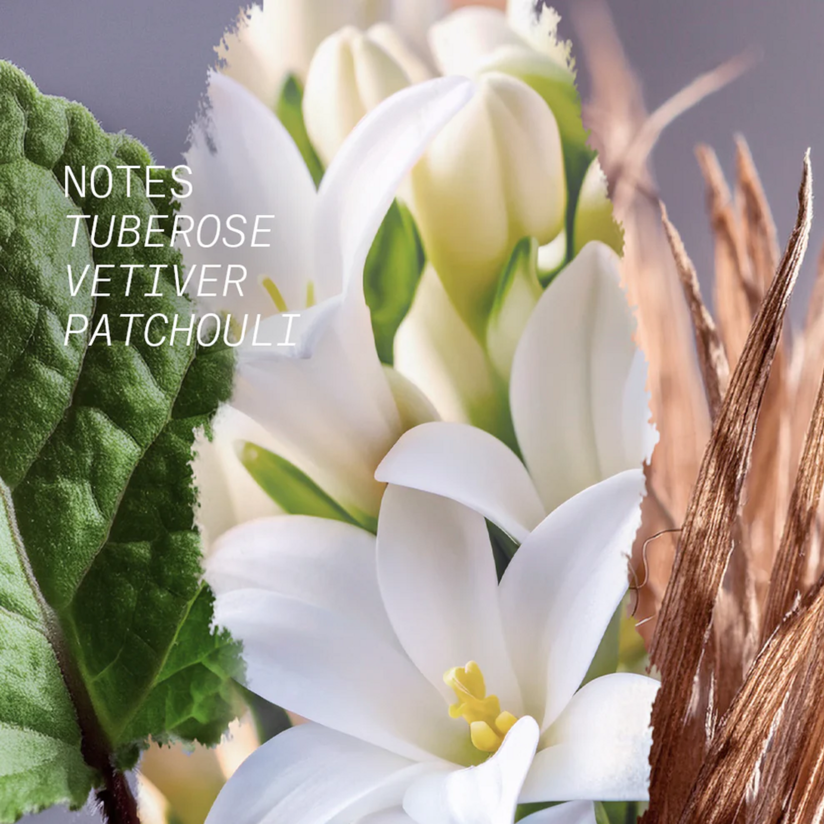 Eau de Parfum - White Mirage - 50 ml