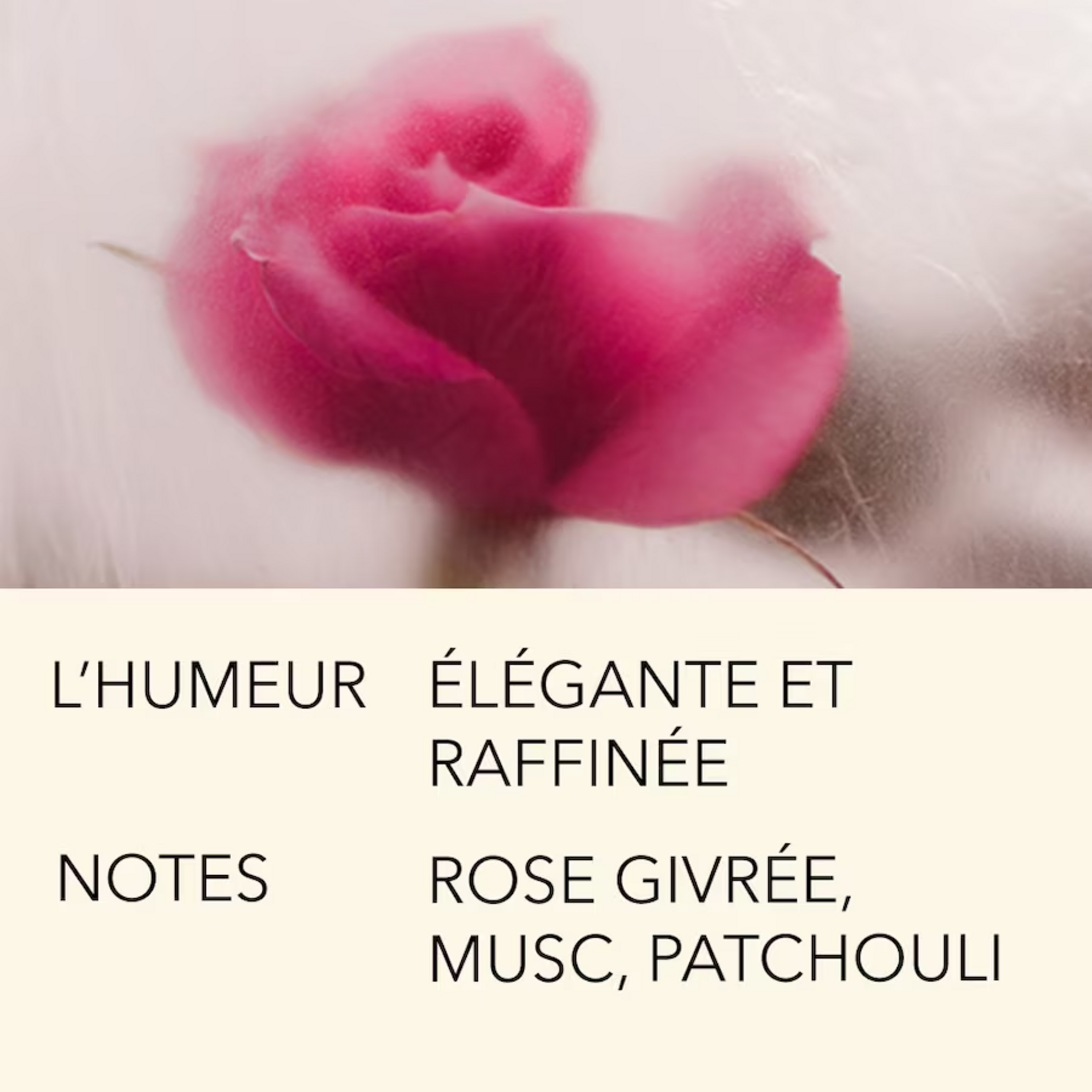 Eau de Parfum - Rose Coup de Foudre - 50 ml