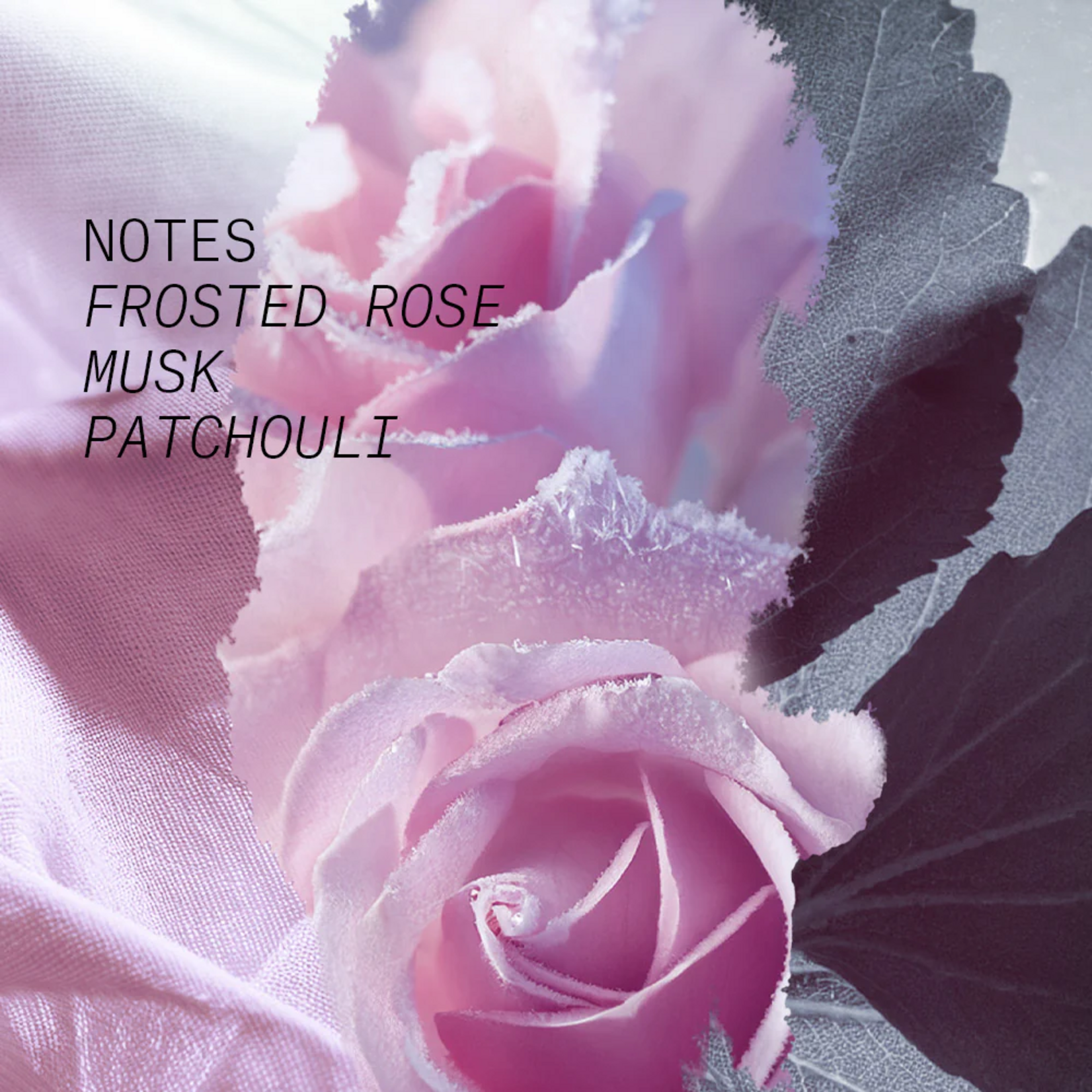 Eau de Parfum - Rose Coup de Foudre - 15 ml