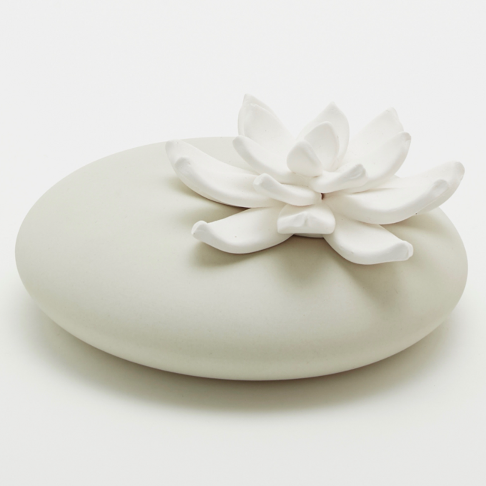 Copy of Diffuseur LILI CAFÉ