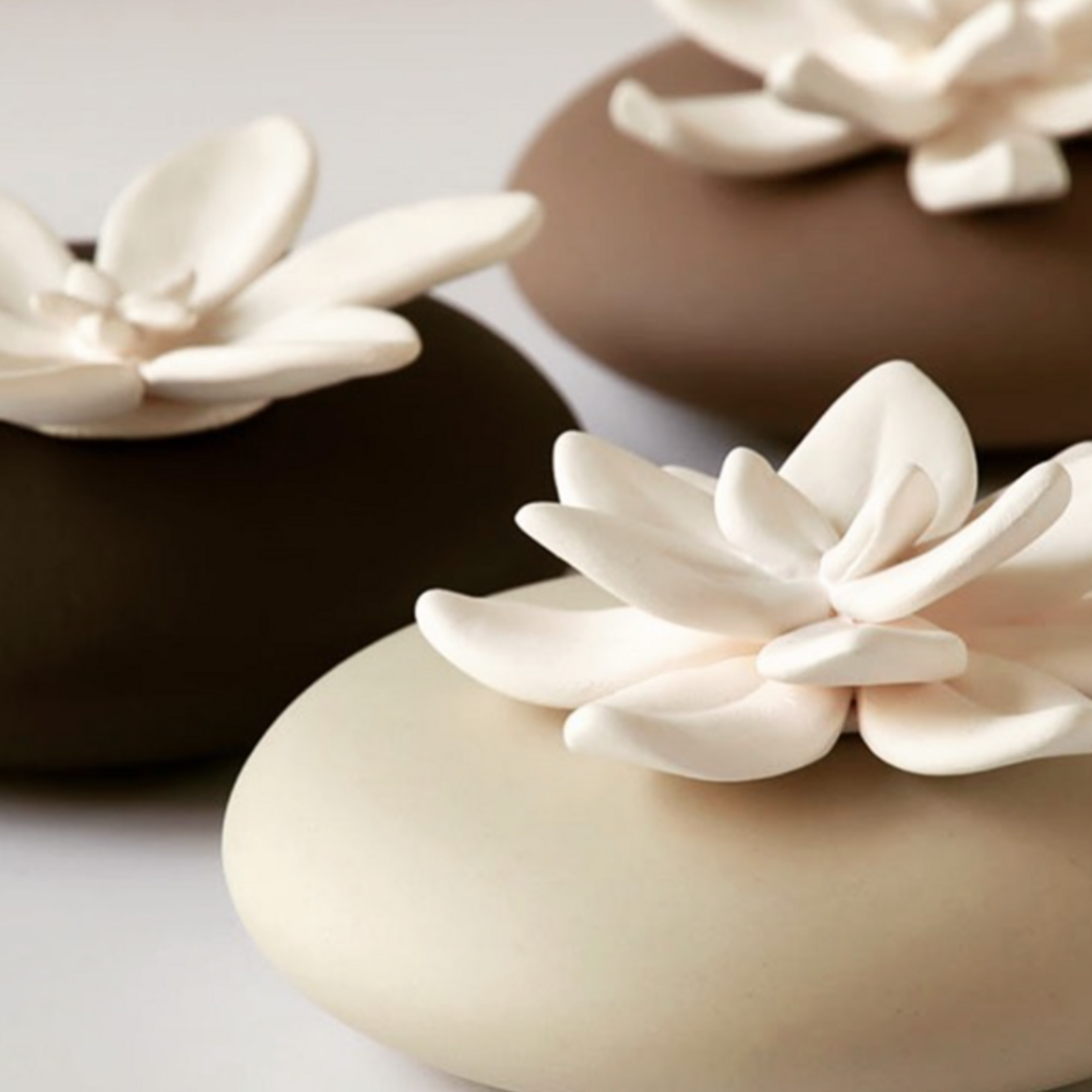 Copy of Diffuseur LILI CAFÉ