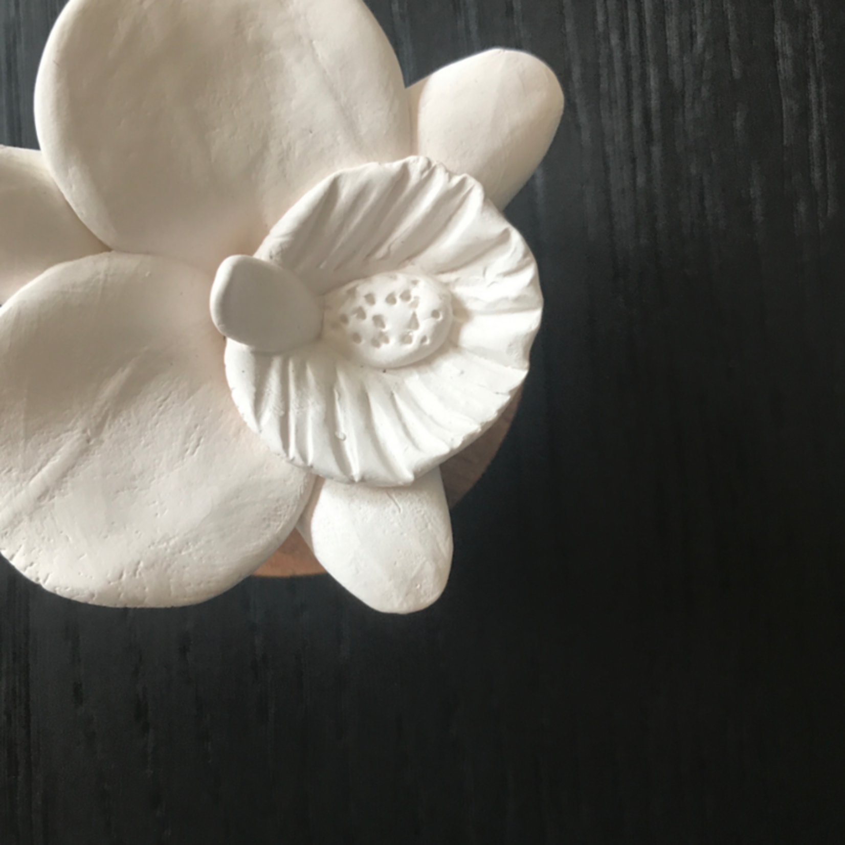 Copy of Diffuseur ŒILLET BLANC