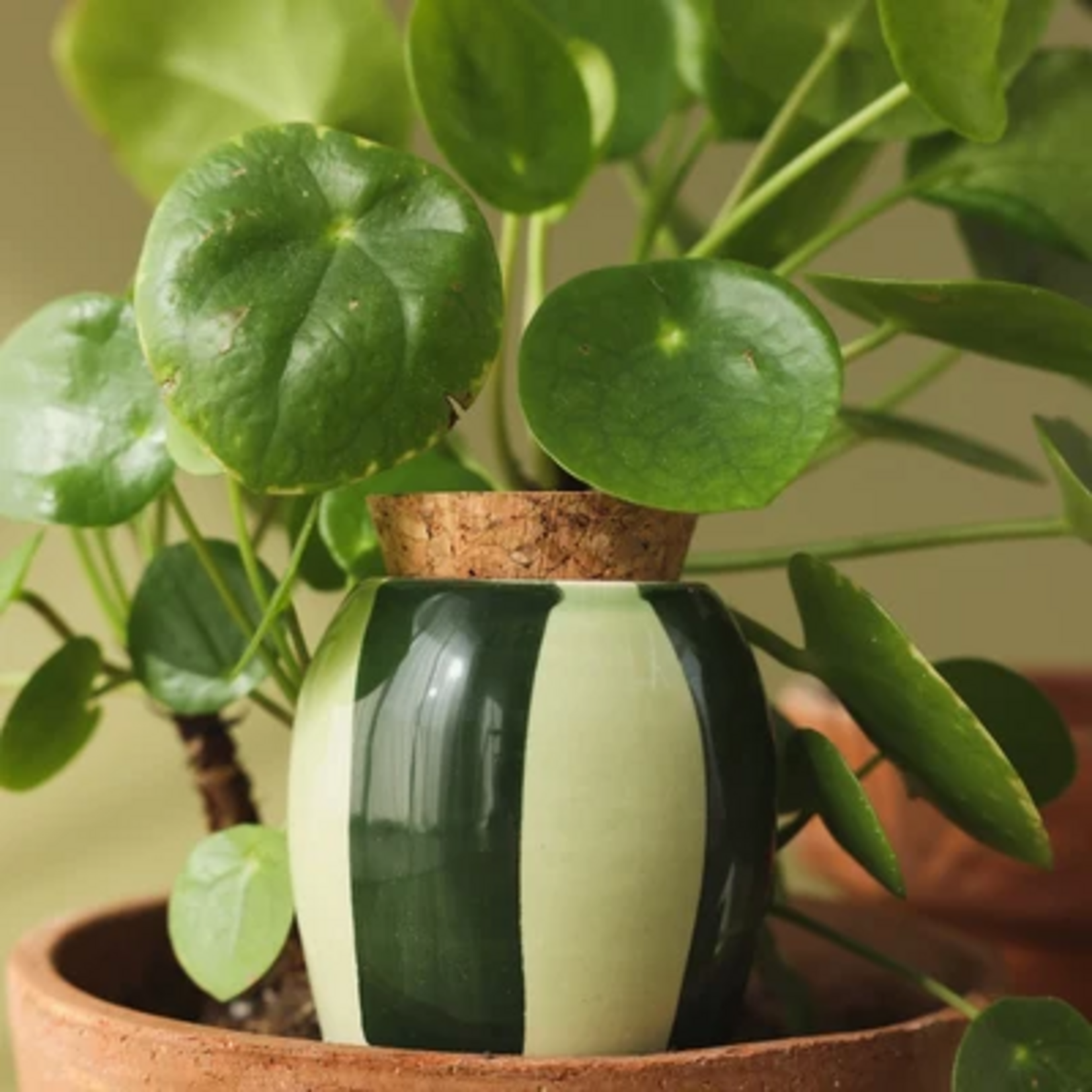 Trio Mini Ollas - Les Verts