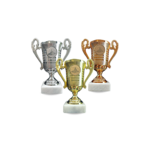  Cups and medals