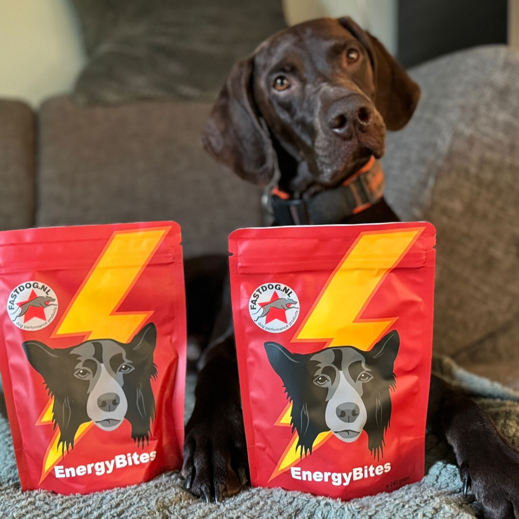 Fastdog Fastdog Energy Bites 240 gram