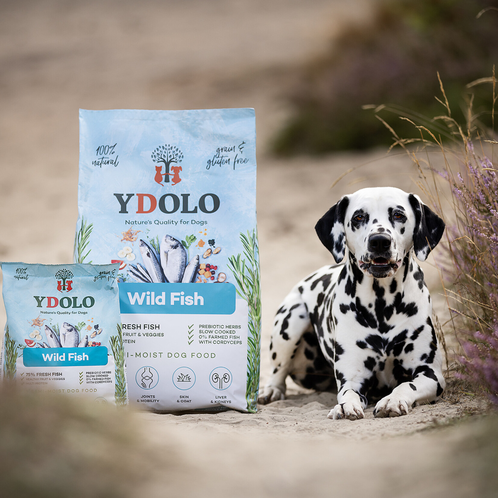 YDOLO YDOLO Healthy & Pure Wild Fish 2.5kg