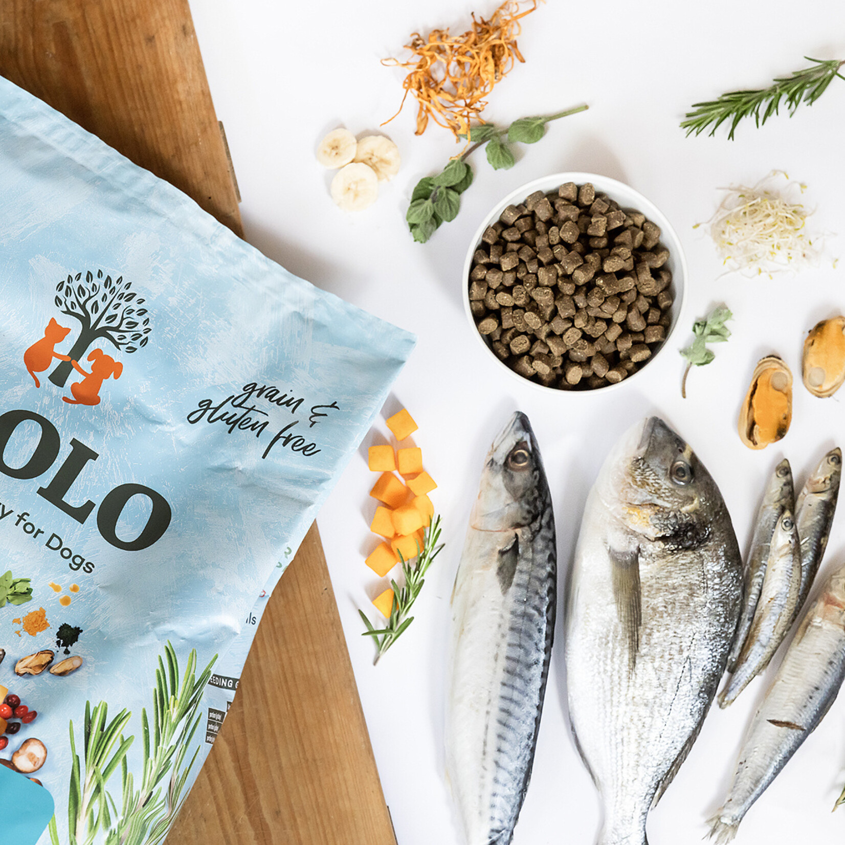YDOLO YDOLO Healthy & Pure Wild Fish 2.5kg