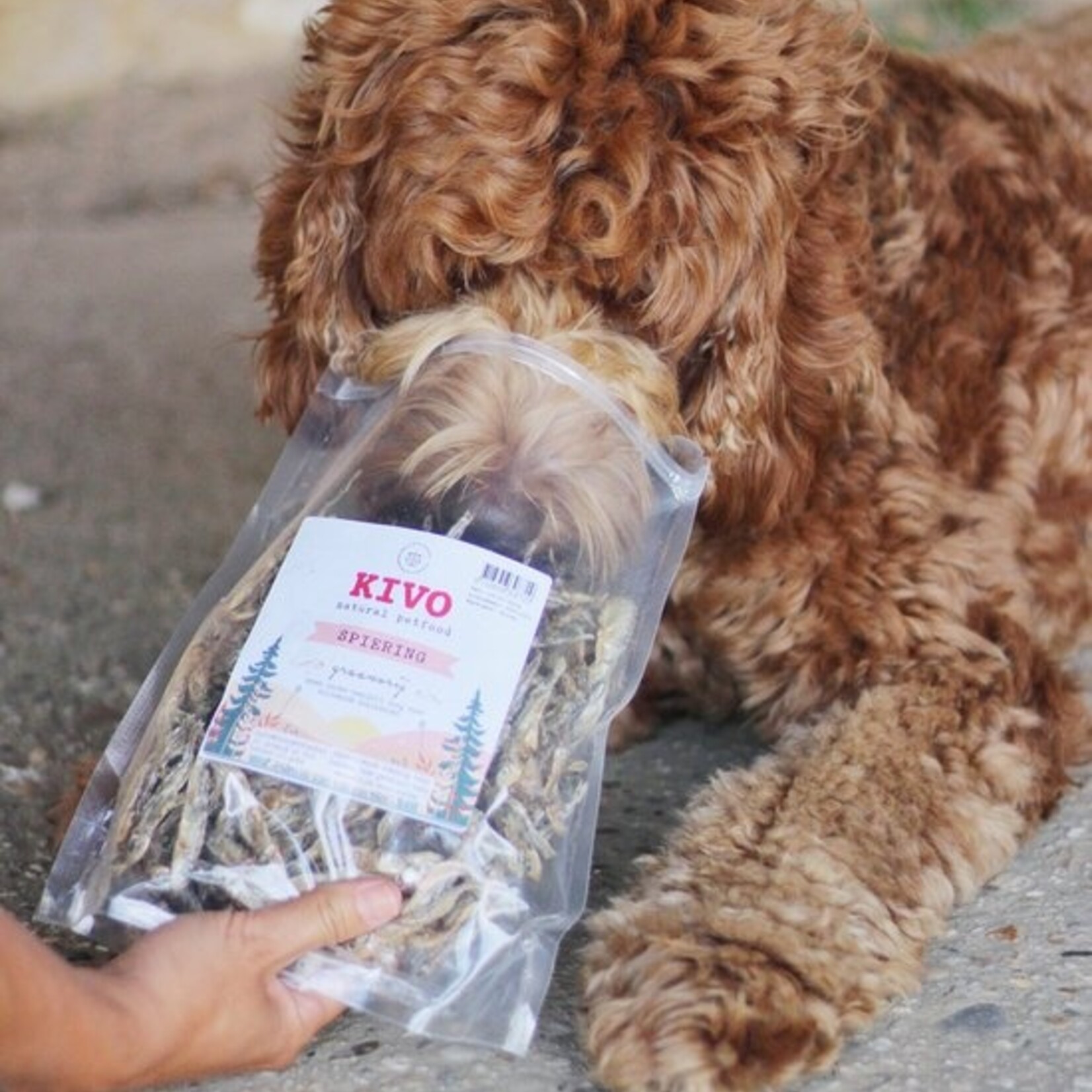 Kivo Kivo Spiering 200gram