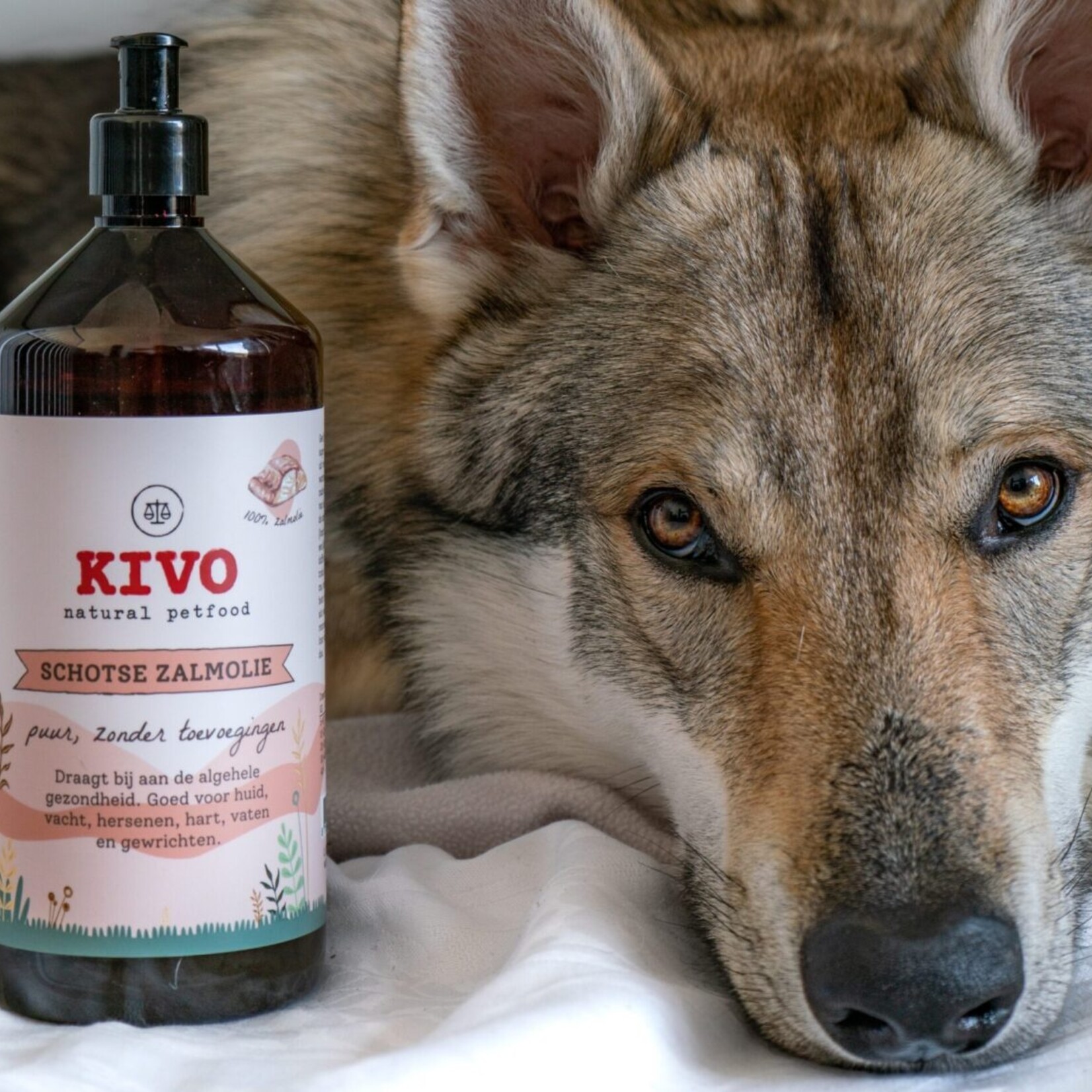 Kivo Kivo Schotse zalmolie  500 ml