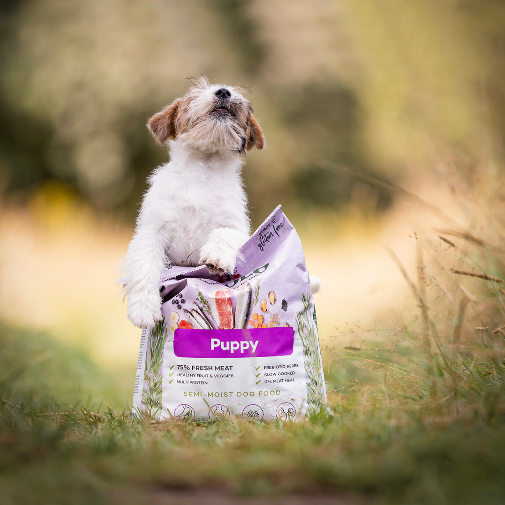 YDOLO YDOLO  Healthy & Pure Puppy 2.5kg