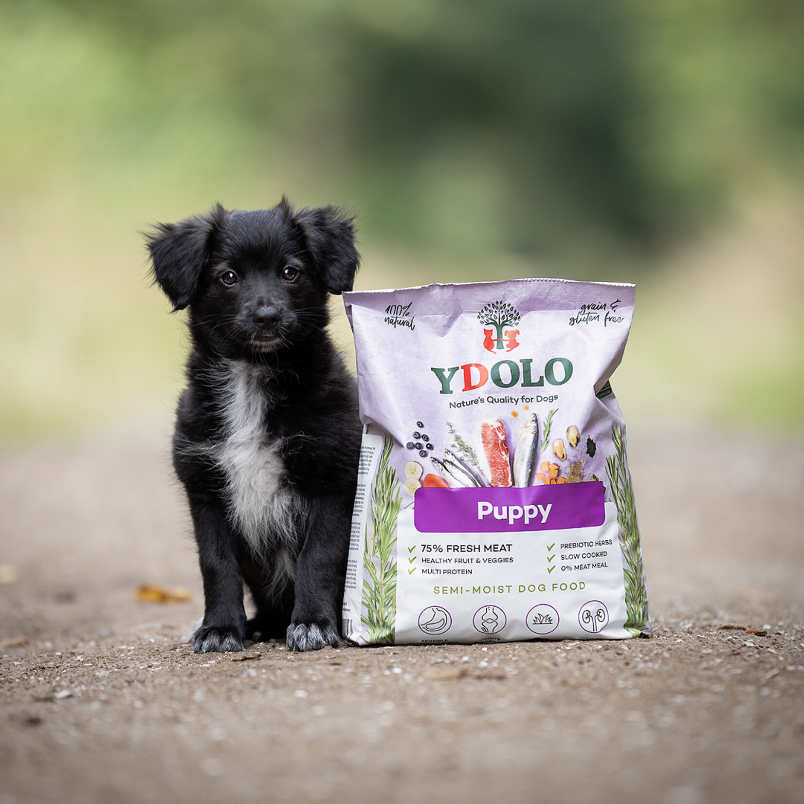 YDOLO YDOLO  Healthy & Pure Puppy 2.5kg