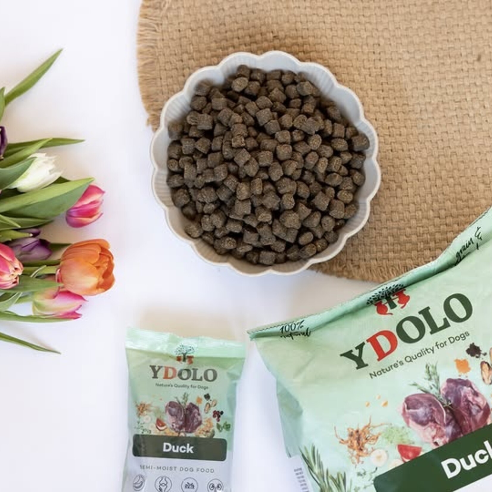 YDOLO YDOLO Health & Pure Duck 10kg