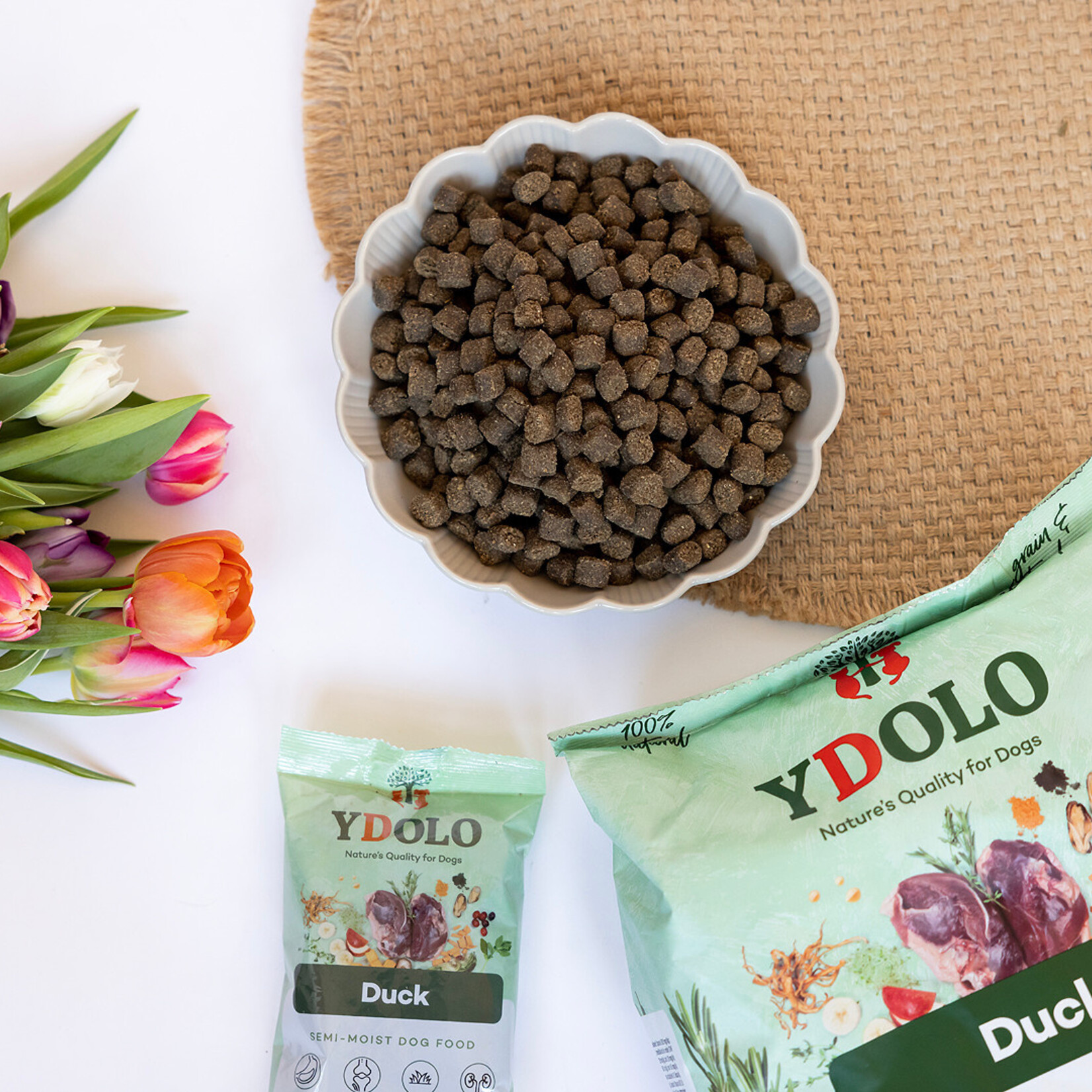 YDOLO YDOLO Healthy & Pure Duck 2.5kg